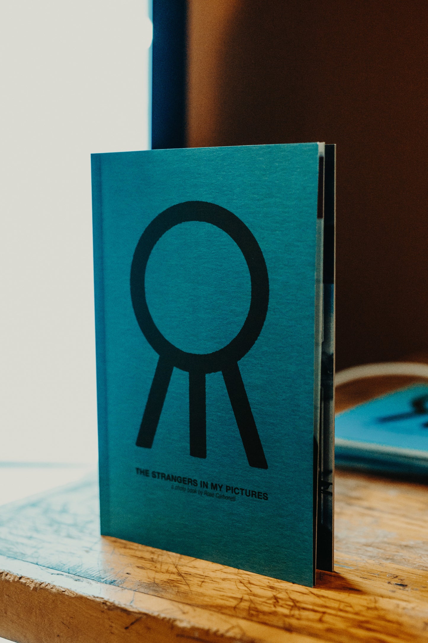 Hail The Sun Exclusive Photobook